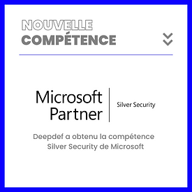 silver_security_microsoft2.png